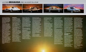 1982 Ford Granada (Cdn-Fr)-12-13.jpg
